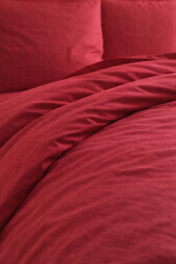 Çeyiz Diyarı Brush 3 Parça Tek Kişilik Nevresim Takımı - 16