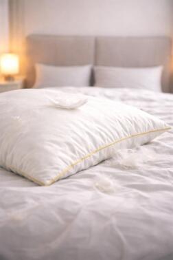 Çeyiz Diyarı Kaz Tüyü 2li Yastık Seti 50x70 Cm - 4